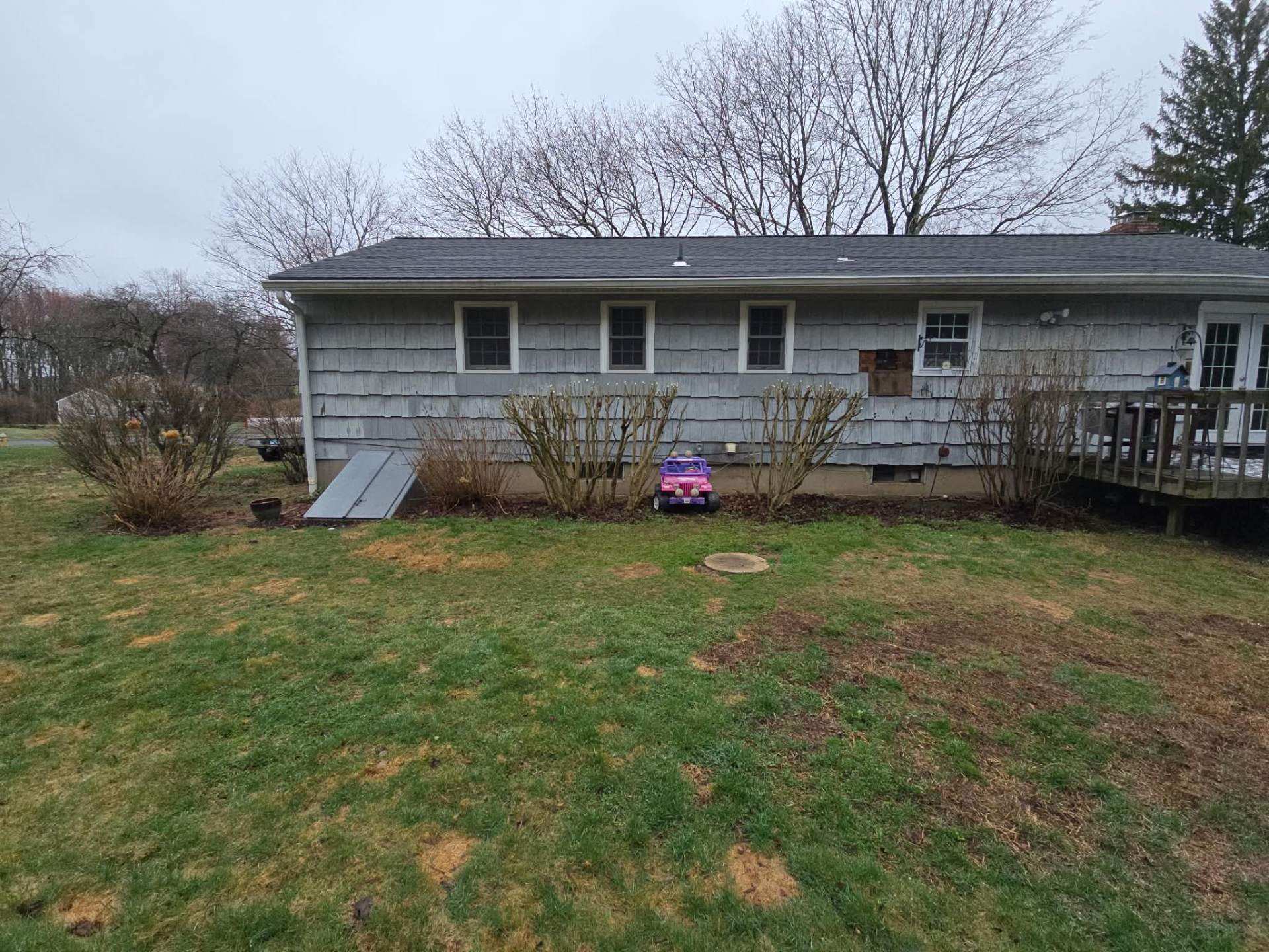 Before: back of a ranch house with overgrown shrubs and trees along the wall